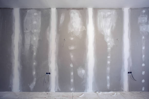 Reliable St Rose, LA Mold Removal Solutions